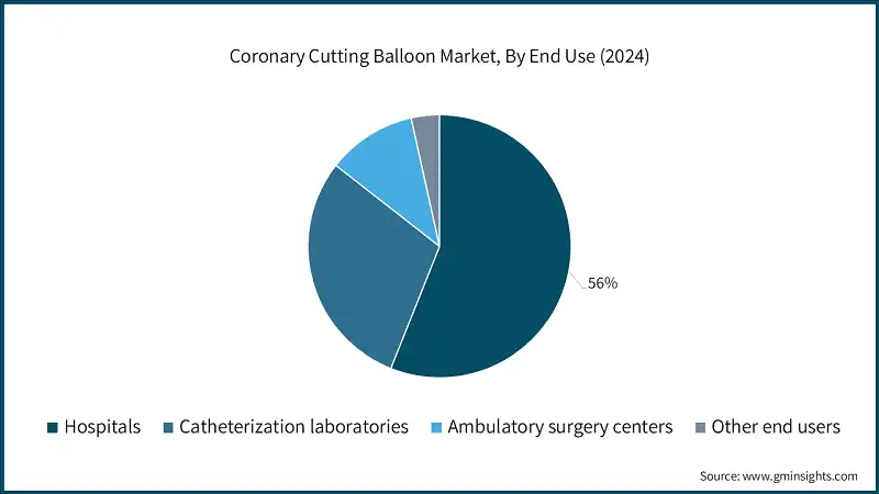 Coronary Cutting Balloon Market, By End Use (2024)