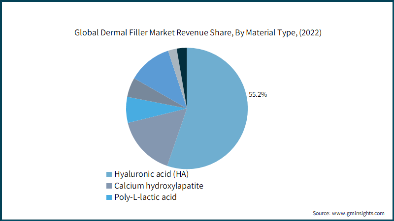 Plastic Fillers Market Size and Share