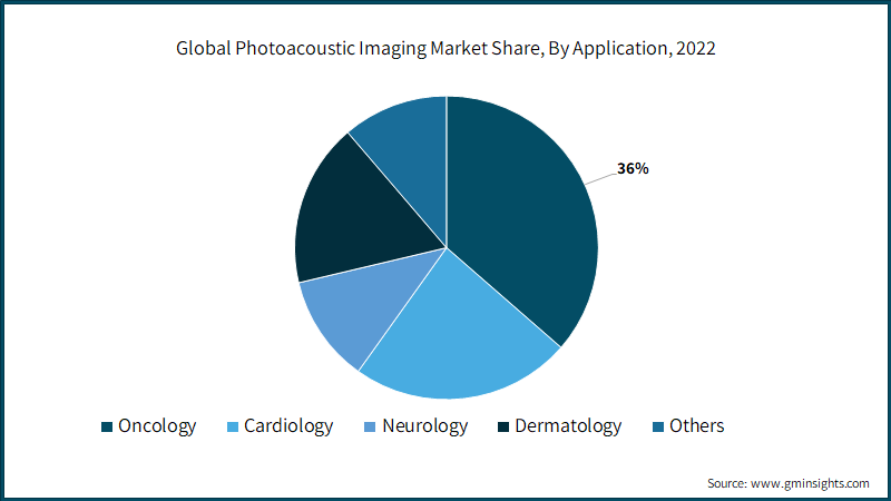 Global Photoacoustic Imaging Market Share, By Application