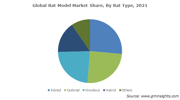 rat model market by type