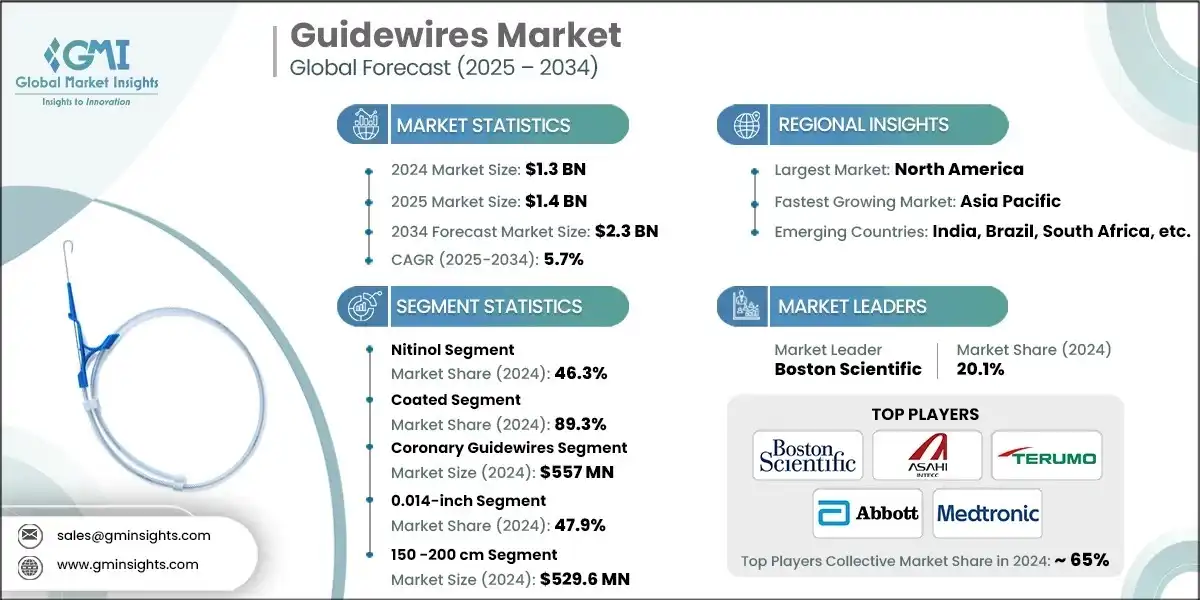 Guidewires Market