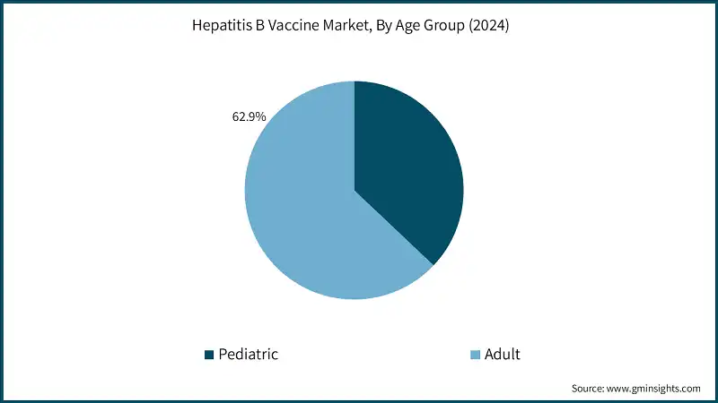 Hepatitis B Vaccine Market, By Age Group (2024)