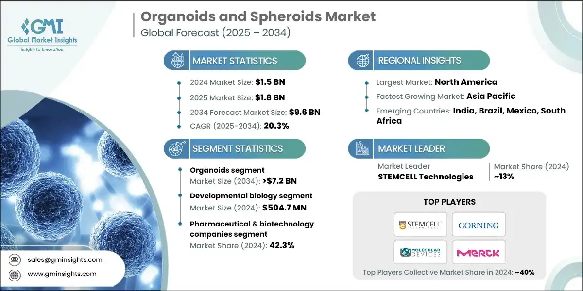 Organoids and Spheroids&nbsp;Market