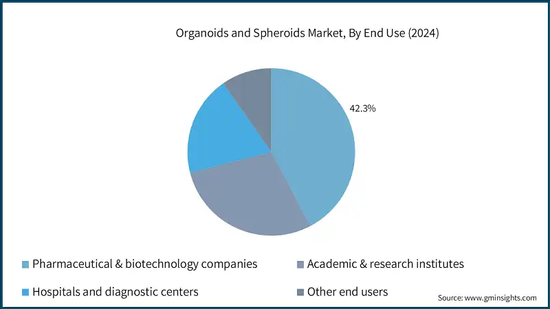 Organoids and Spheroids Market, By End Use (2024)