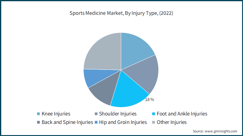 Sports Medicine Market, By Injury Type, (2022)