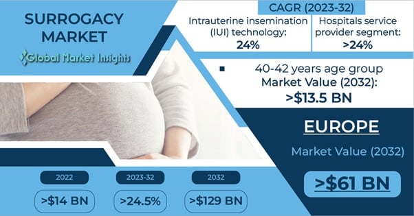 Surrogacy Market Overview