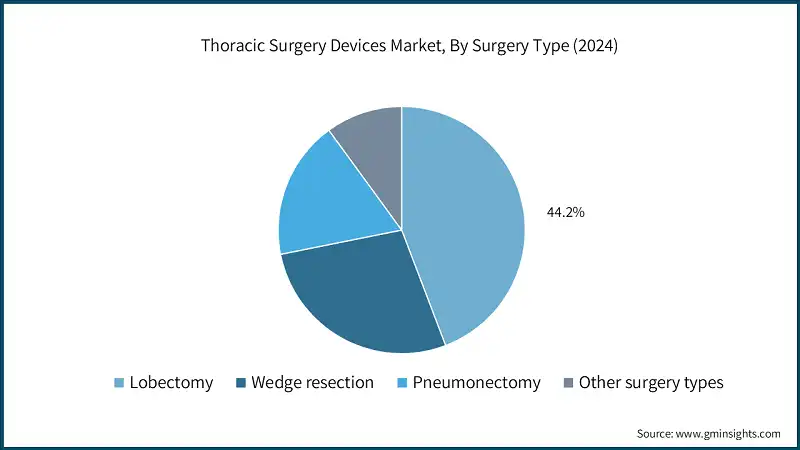Thoracic Surgery Devices Market, By Surgery Type (2024)