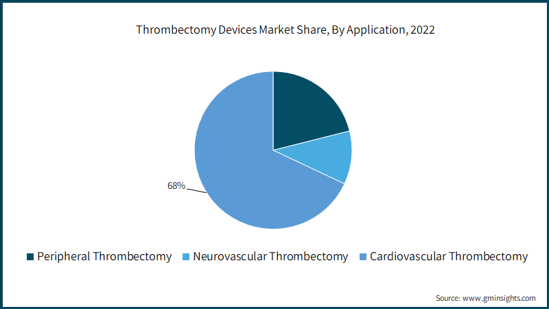 Thrombectomy Devices Market Share, By Application, 2022