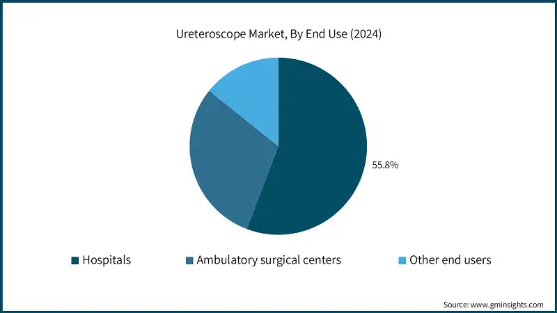 Ureteroscope Market, By End Use (2024)