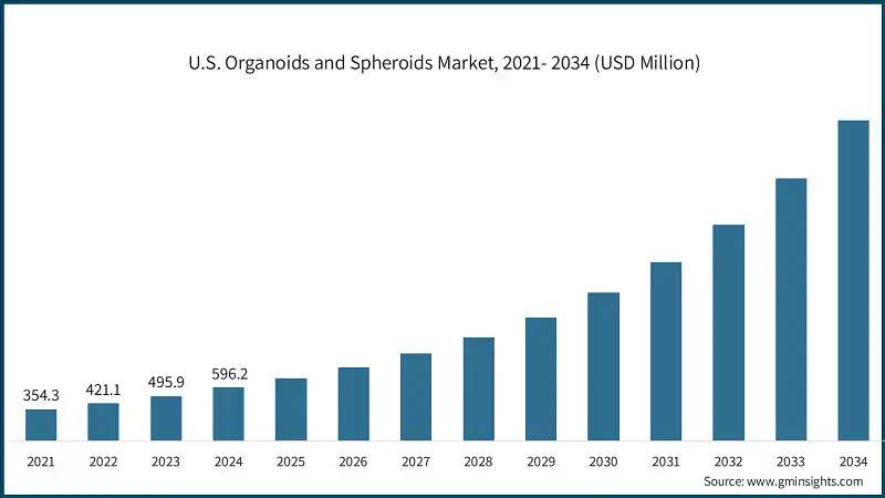 U.S. Organoids and Spheroids Market, 2021- 2034 (USD Million)