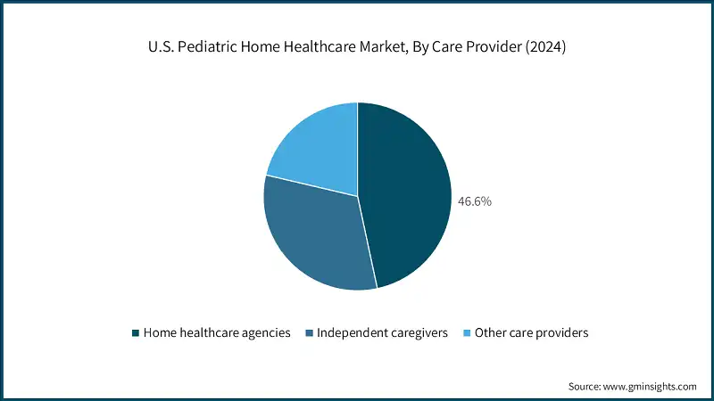 U.S. Pediatric Home Healthcare Market, By Care Provider (2024) U.S. Pediatric Home Healthcare Market, By Care Provider (2024)
