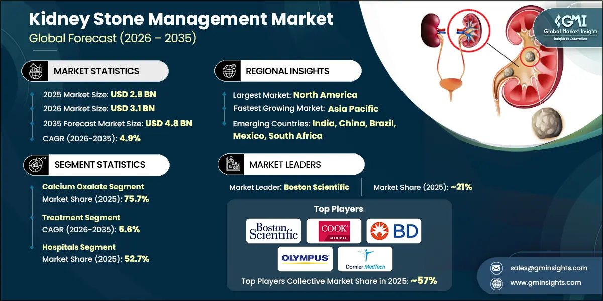 Kidney Stone Management Market Research Report