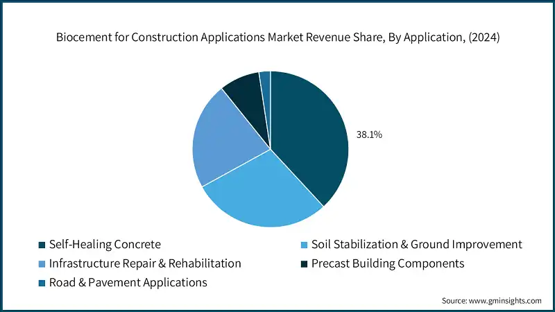 Quota di ricavi del mercato delle applicazioni di biocemento per l'edilizia, Per applicazione, (2024)