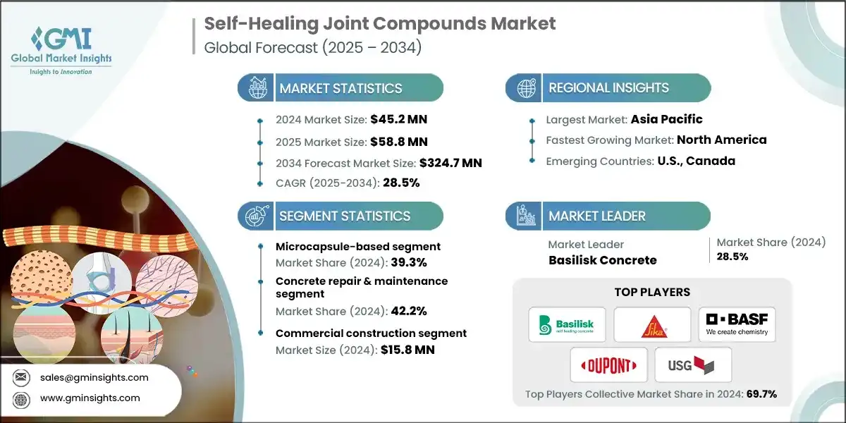 Mercato dei composti per giunti auto-rigeneranti