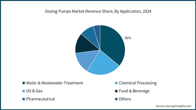 Dosing Pumps Market Revenue Share, By Application, 2024