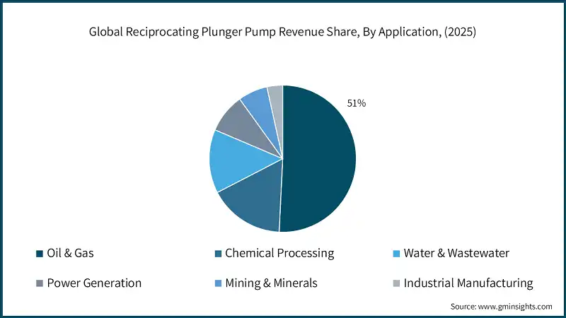 Global Reciprocating Plunger Pump Revenue Share, By Application, (2025)