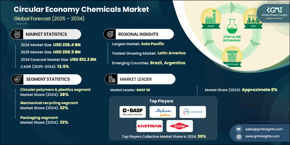 Circular Economy Chemicals Market