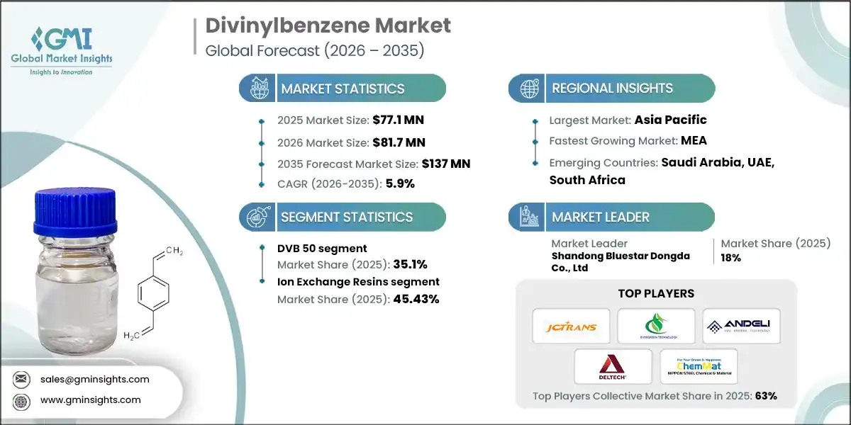 Divinylbenzene Market