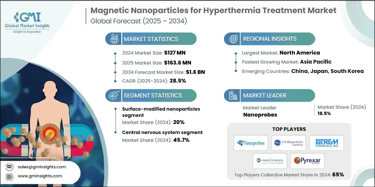 Mercado de nanopartículas magnéticas para tratamiento por hipertermia