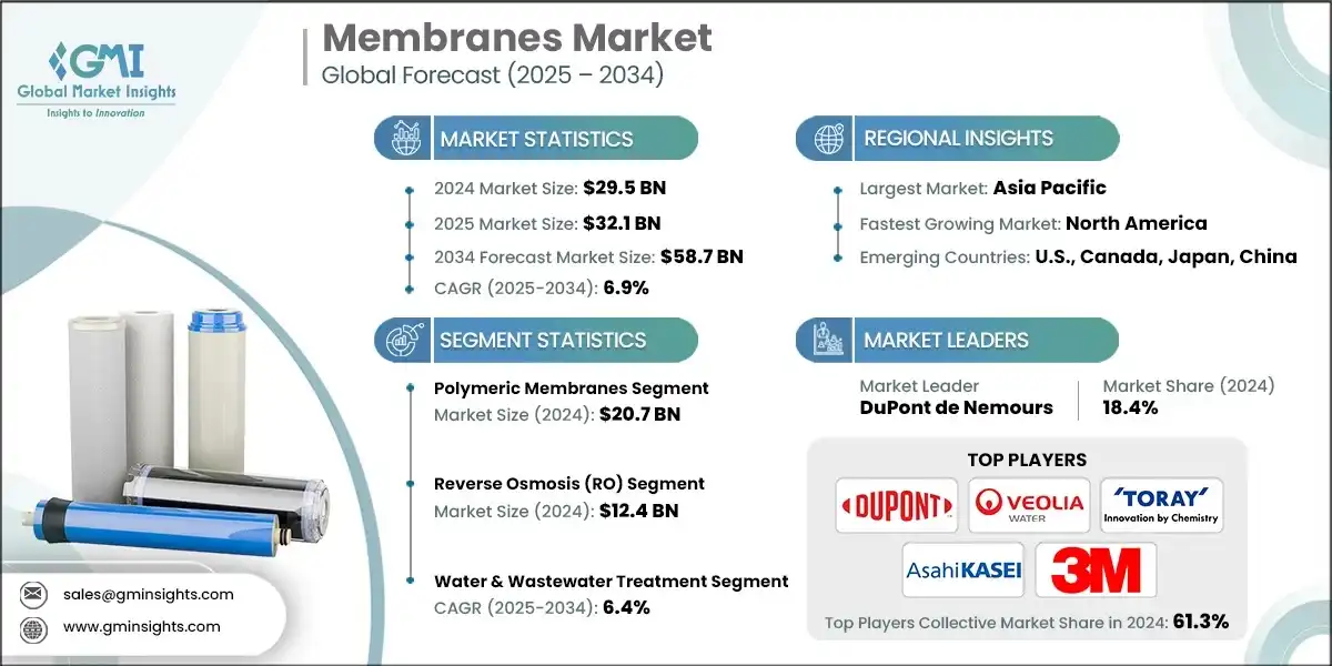 Mercado de membranas