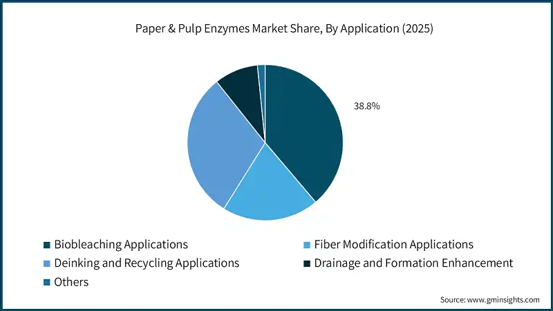 Paper & Pulp Enzymes Market Share, By Application (2025)