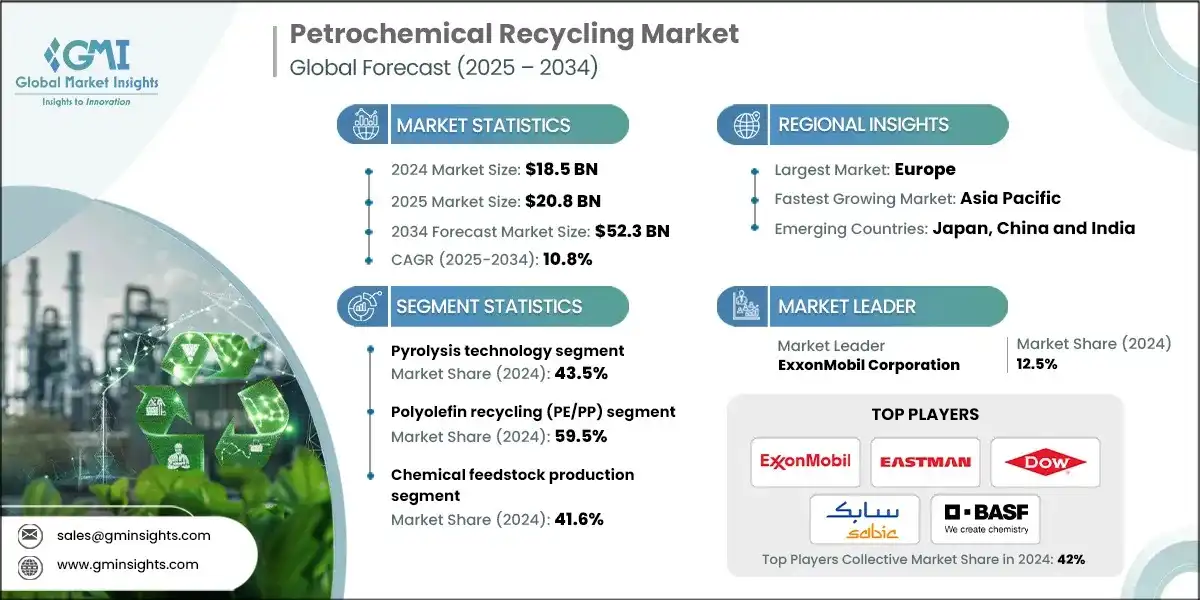 Petrochemical Recycling Market
