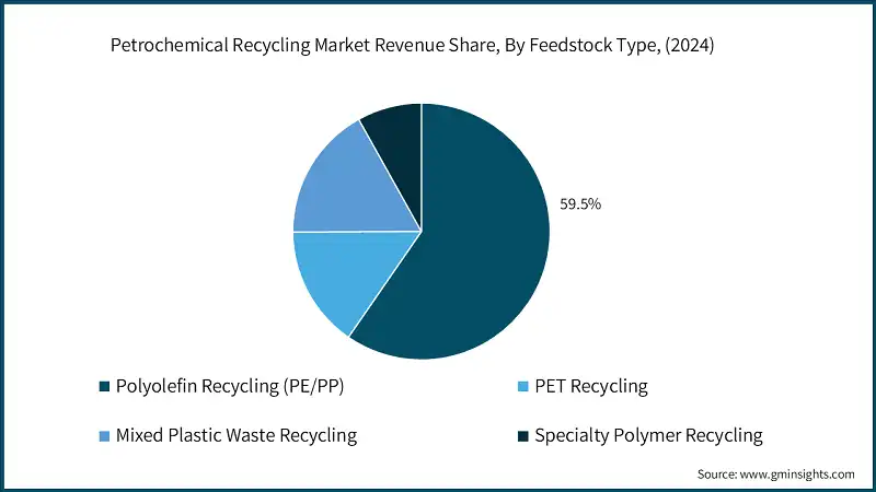 Petrochemical Recycling Market Revenue Share, By Feedstock Type, (2024)