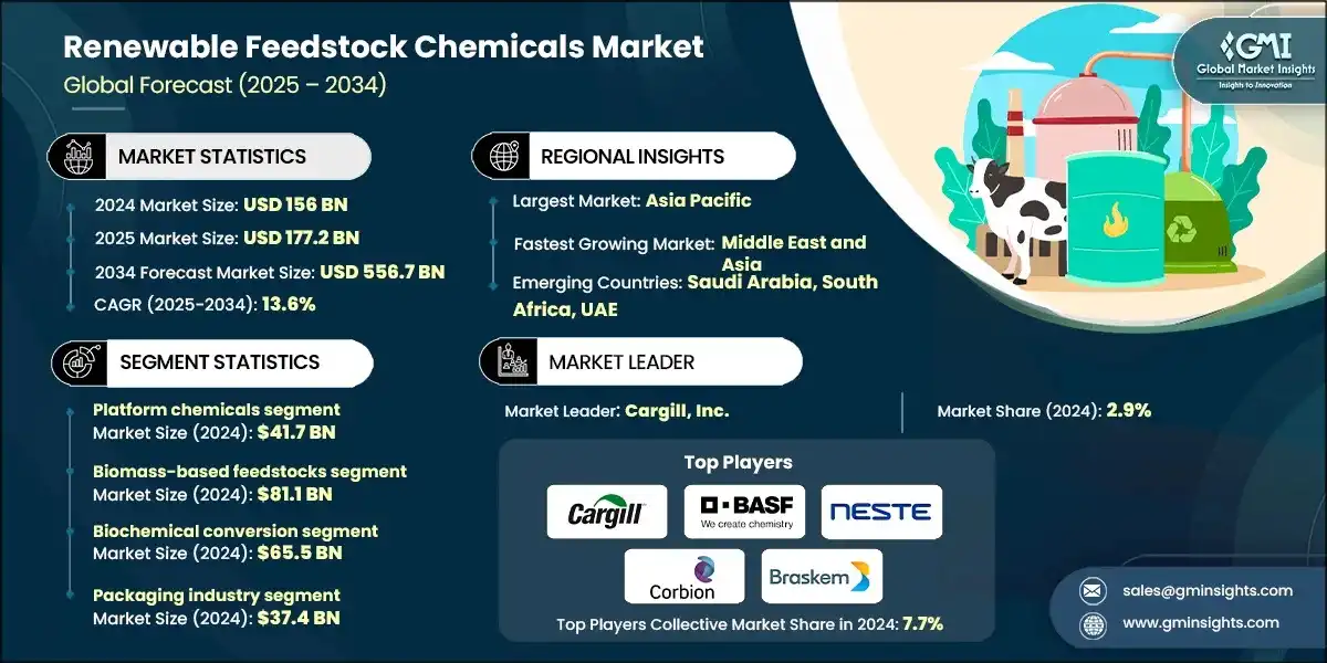 Mercado de productos quimicos de materias primas renovables
