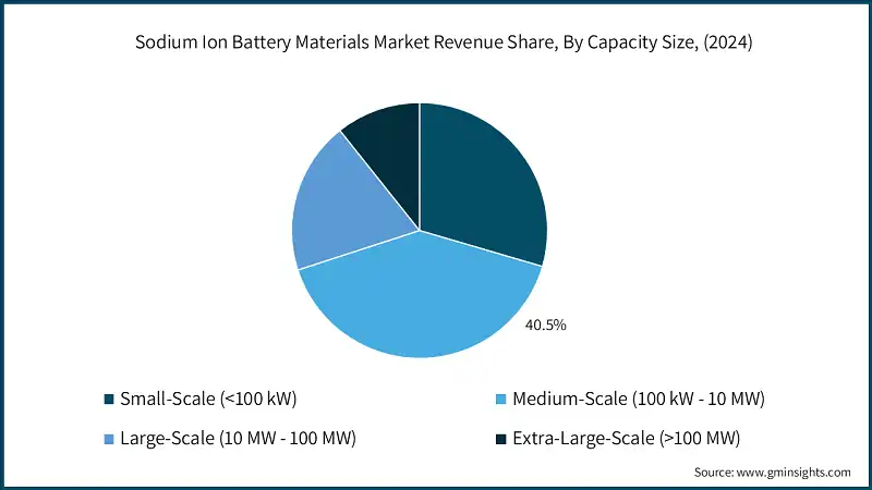 Sodium Ion Battery Materials Market Revenue Share, By Capacity Size, (2024)