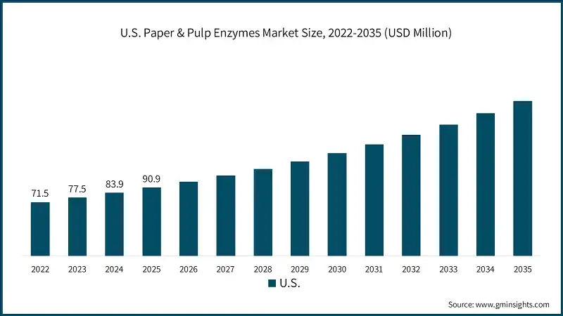 U.S. Paper & Pulp Enzymes Market Size, 2022-2035 (USD Million)
