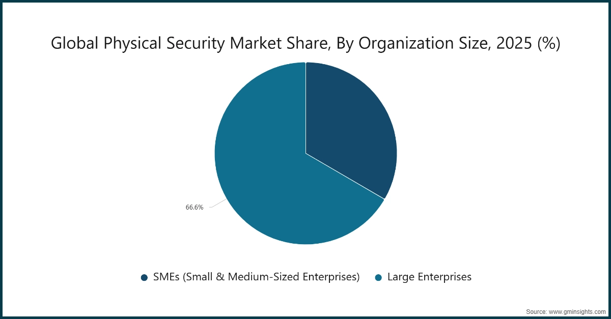 图表：2025年全球实体安全市场份额（按组织规模划分）
